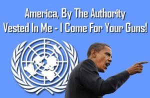 The ATT, the NRA, and the Politics of Treaty Ratification