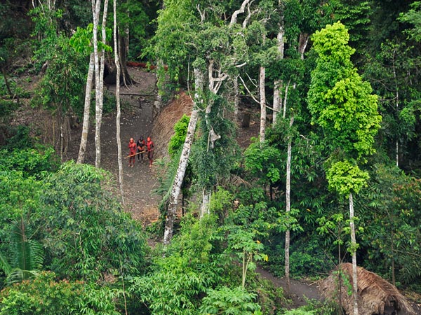 Uncontacted tribes in the Amazon. (c) Gleison Miranda, FUNAI/Survival