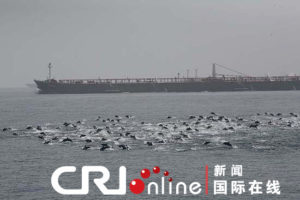 Dolphins protect China's interests, but can't save its GDP
