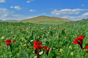 World Forgot Plight of West Azerbaijanis